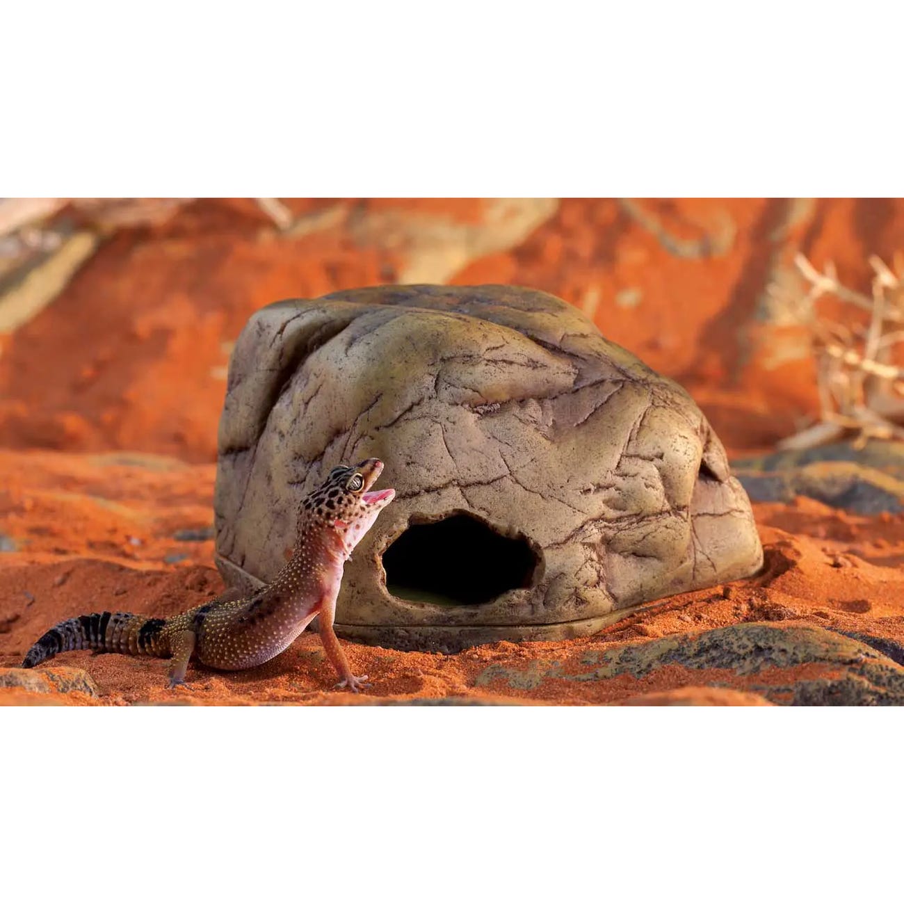 Exo Terra Reptile Pebble Cave, 8.3 in L, 7-1/2 in W, L