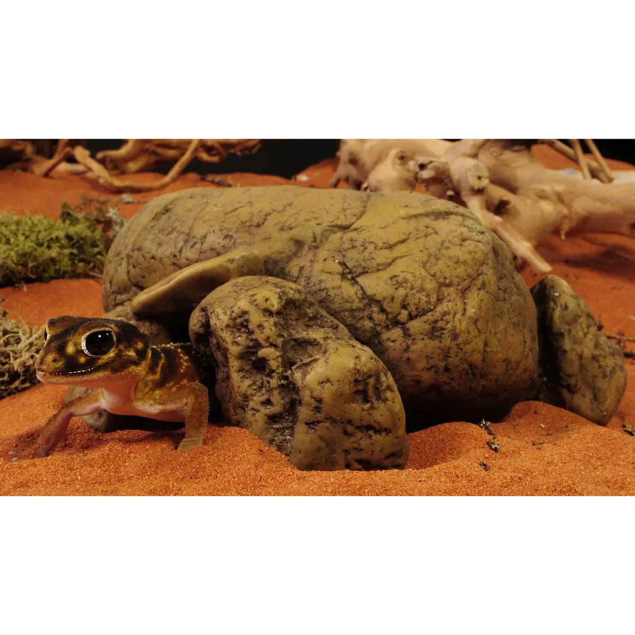 Exo Terra Reptile Pebble Cave, 8.3 in L, 7-1/2 in W, L