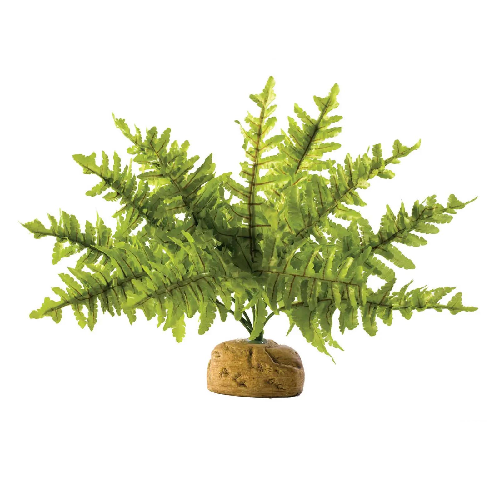 Exo Terra Boston Fern Rainforest Ground Plant, S