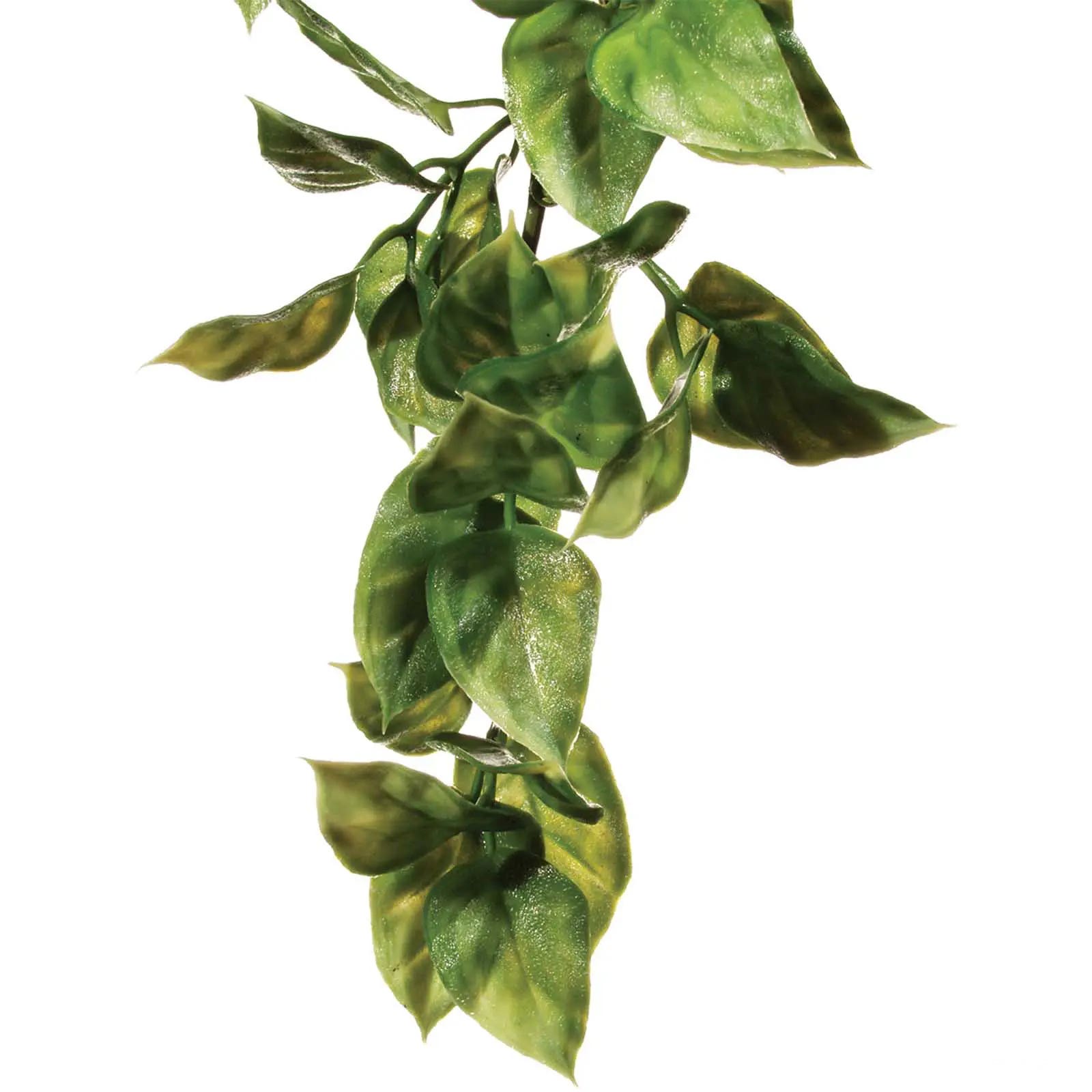 Exo Terra Amapallo Hanging Rainforest Plant, L