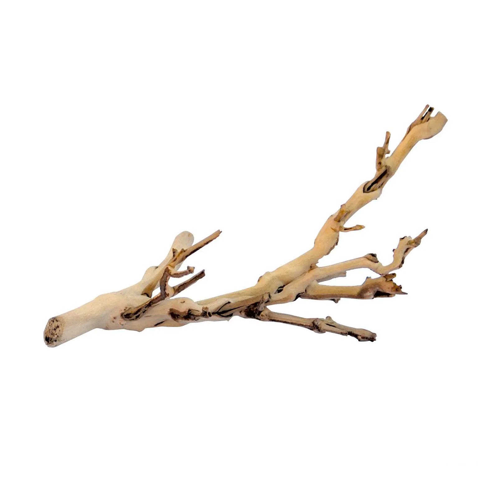 Exo Terra Forest Branch Sandblasted Grape Vine, S