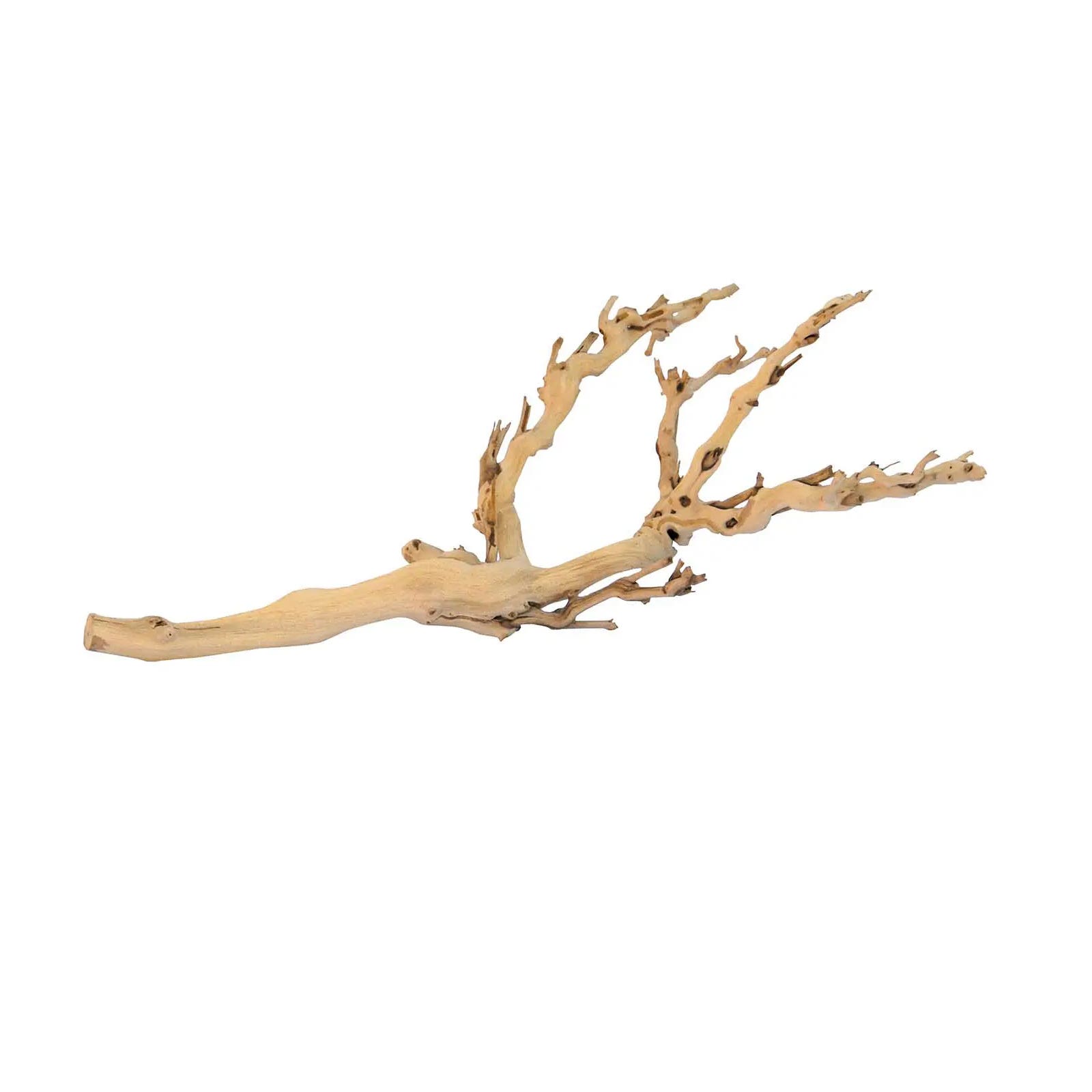Exo Terra Forest Branch Sandblasted Grape Vine, M