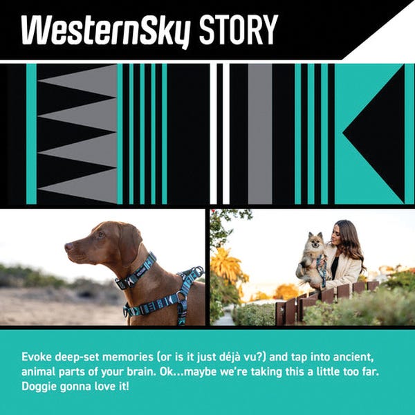 Wolfgang WesternSky Dog Leash, 6 ft L, 1 in W, Polyester Line, Fastening Method: Snap Hook, Swivel