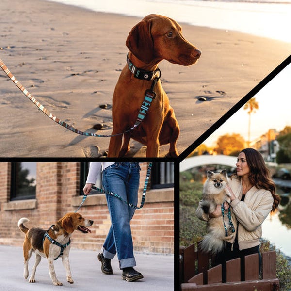 Wolfgang WesternSky Dog Leash, 6 ft L, 1 in W, Polyester Line, Fastening Method: Snap Hook, Swivel