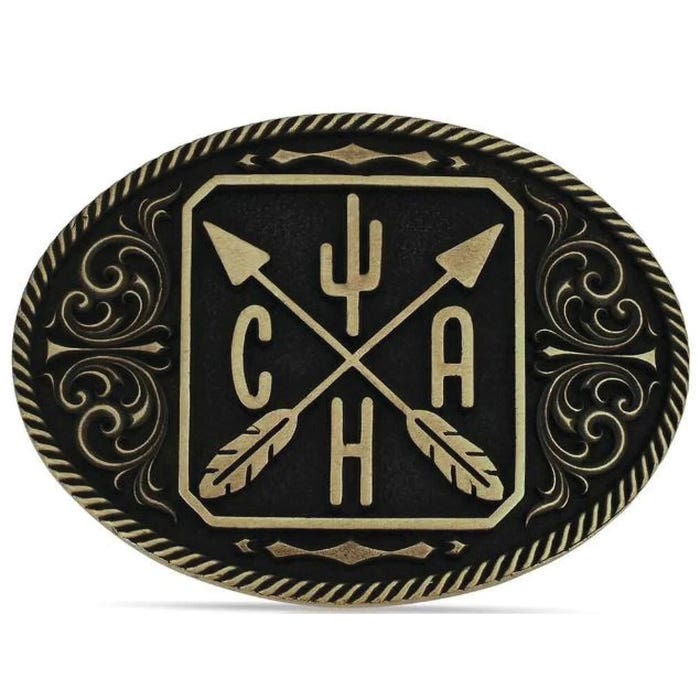 Montana Silversmiths Attitude Oval Belt Buckle – Arrows Cactus Western Filigree