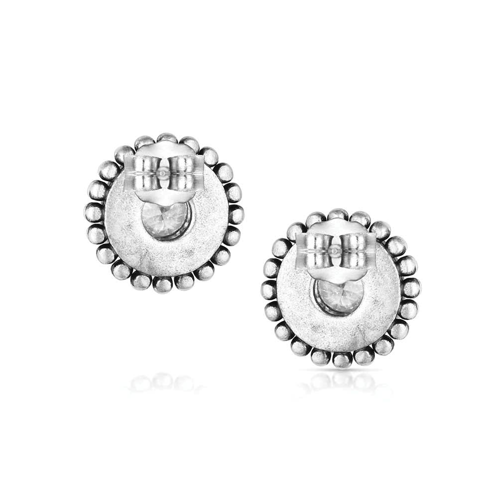 Montana Silversmiths ER6447 Earrings, Sharpshooter Post, Cubic Zirconia Gemstone, Clear Gemstone, Brass/Stainless Steel