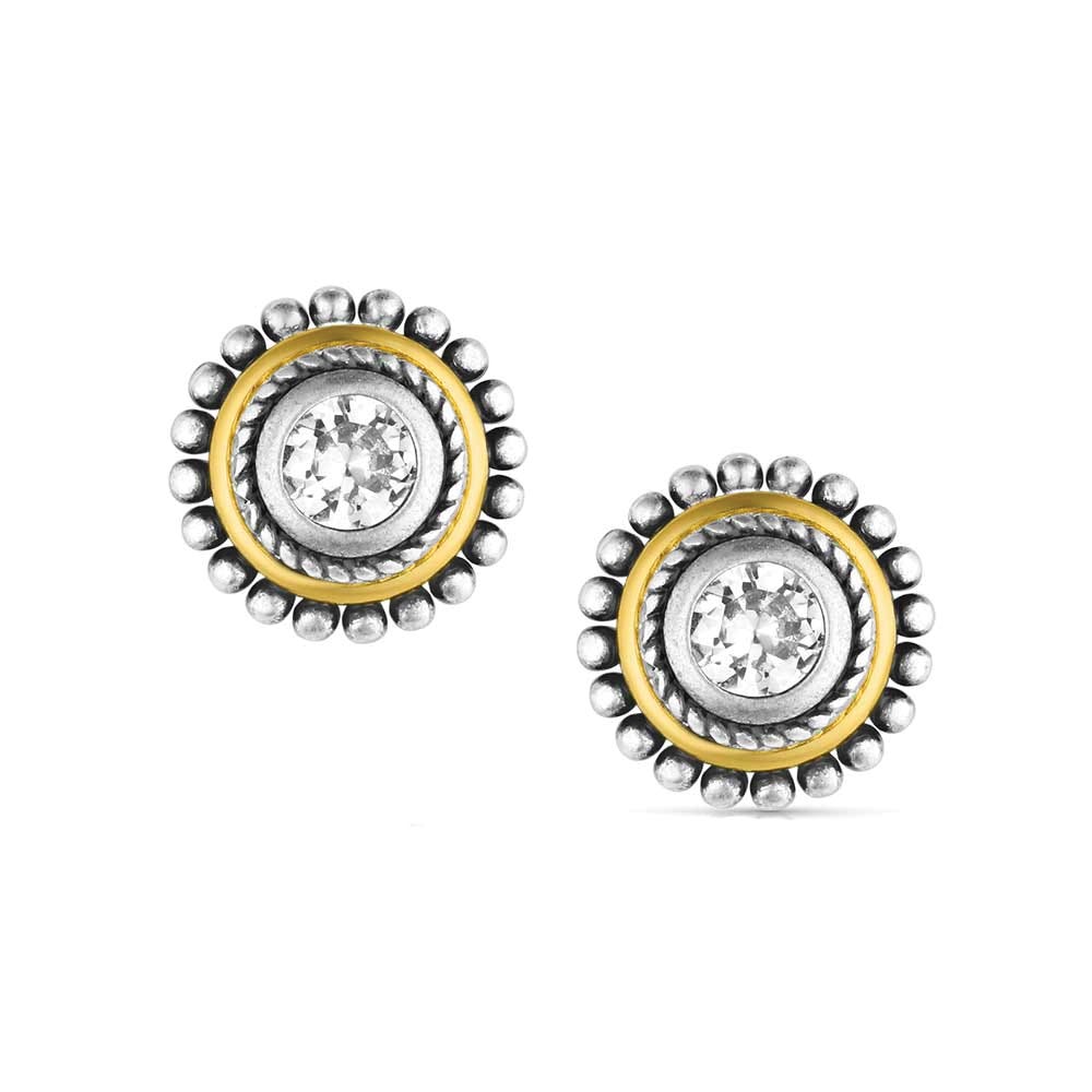 Montana Silversmiths ER6447 Earrings, Sharpshooter Post, Cubic Zirconia Gemstone, Clear Gemstone, Brass/Stainless Steel