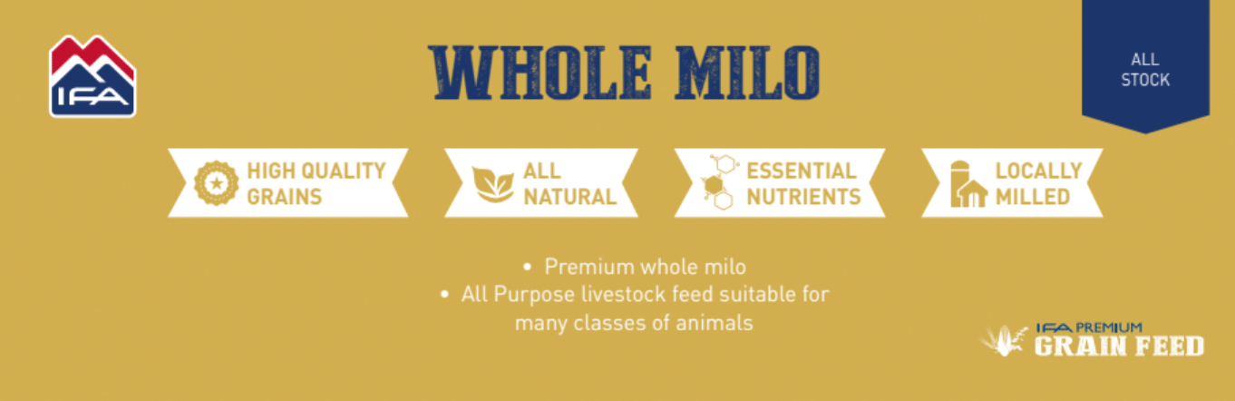 IFA Whole Milo Seed, 50 Lb.