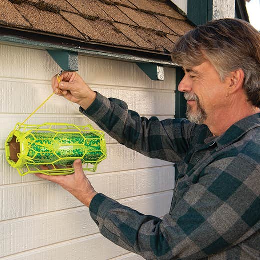 Rescue TrapStik Flying Insect Trap