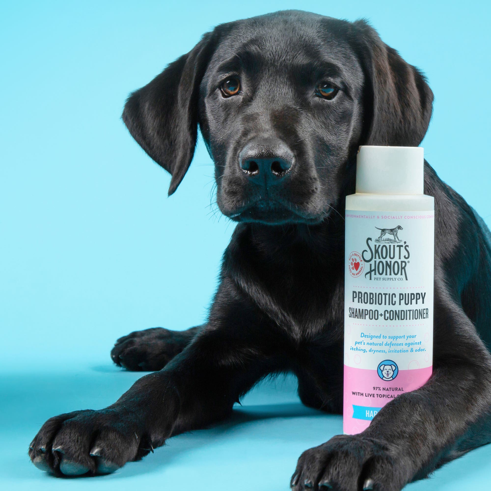Skout's Probiotic Shampoo and Conditioner, Happy Puppy, 16 oz