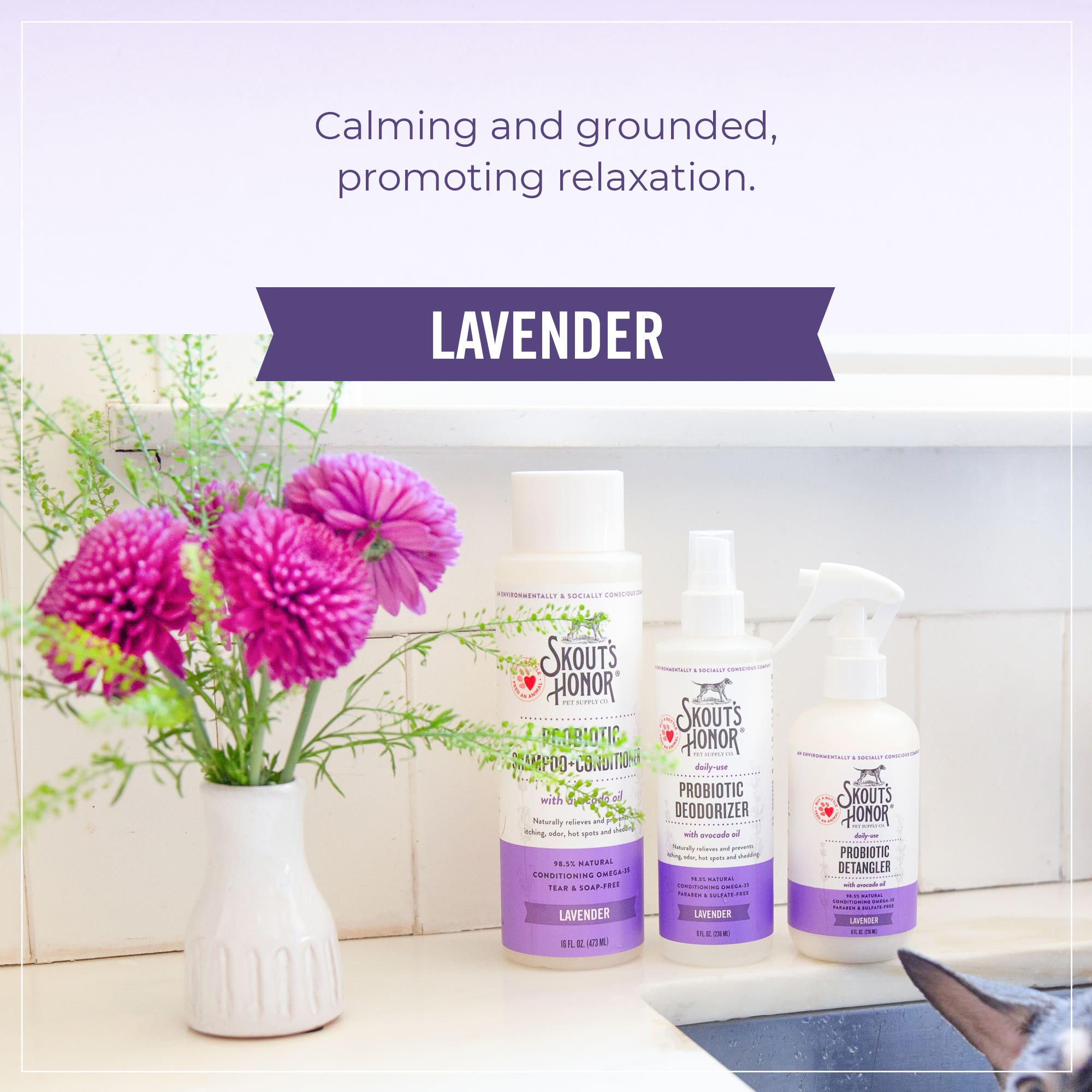 Skout's Probiotic Shampoo and Conditioner, Lavender, 16 oz
