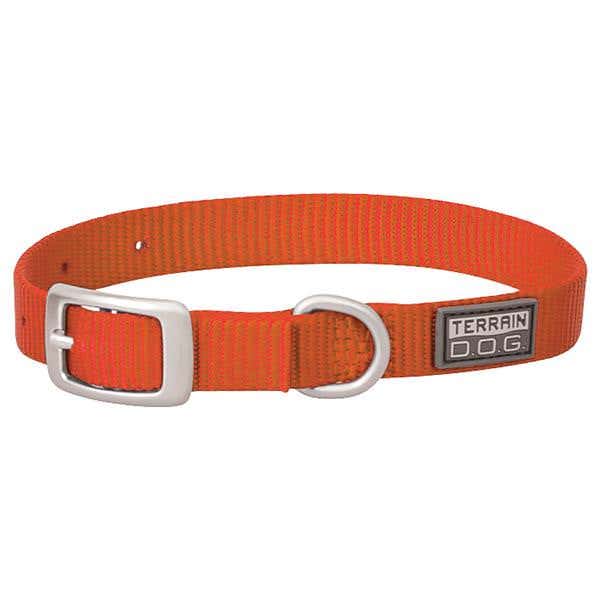 Terrain D.O.G. Nylon Single-Ply Dog Collar, Orange, 21 x 1"