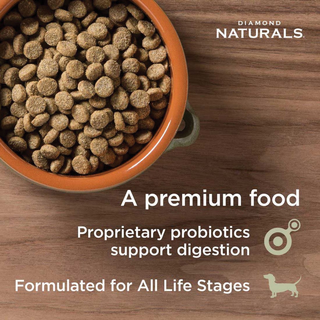 Diamond Naturals Skin & Coat All Life Stages Salmon & Potato Dry Dog Food, 15 lb