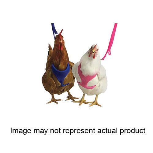 Valhoma Chicken Harness, S, Purple