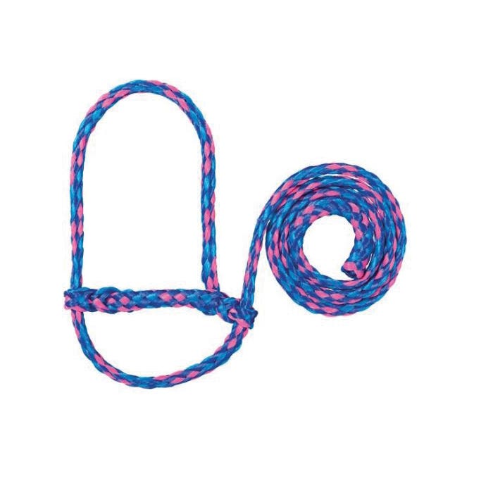 Weaver Leather Sheep Halter, Poly, Hurricane Blue/Lime/Royal Blue
