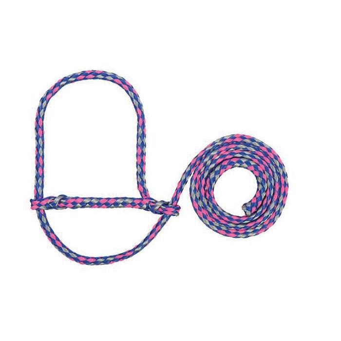 Weaver Leather Sheep Halter, Poly, Coral/Gray/Royal Blue