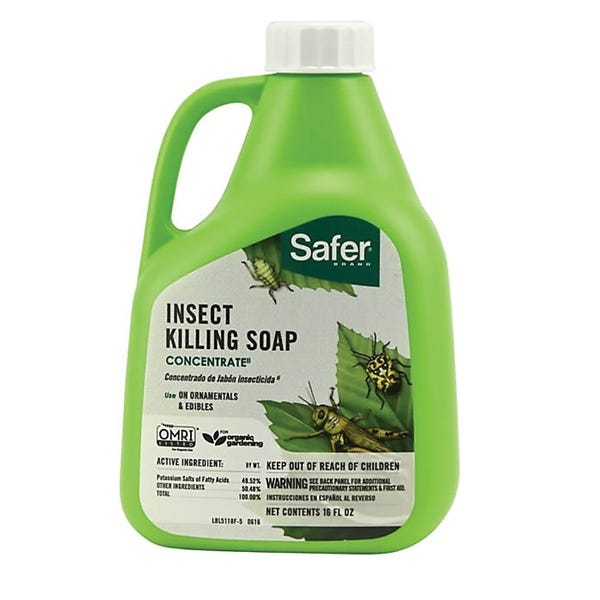 Safer Insect Killing Soap, Liquid, Spray Application, 16 oz Bottle