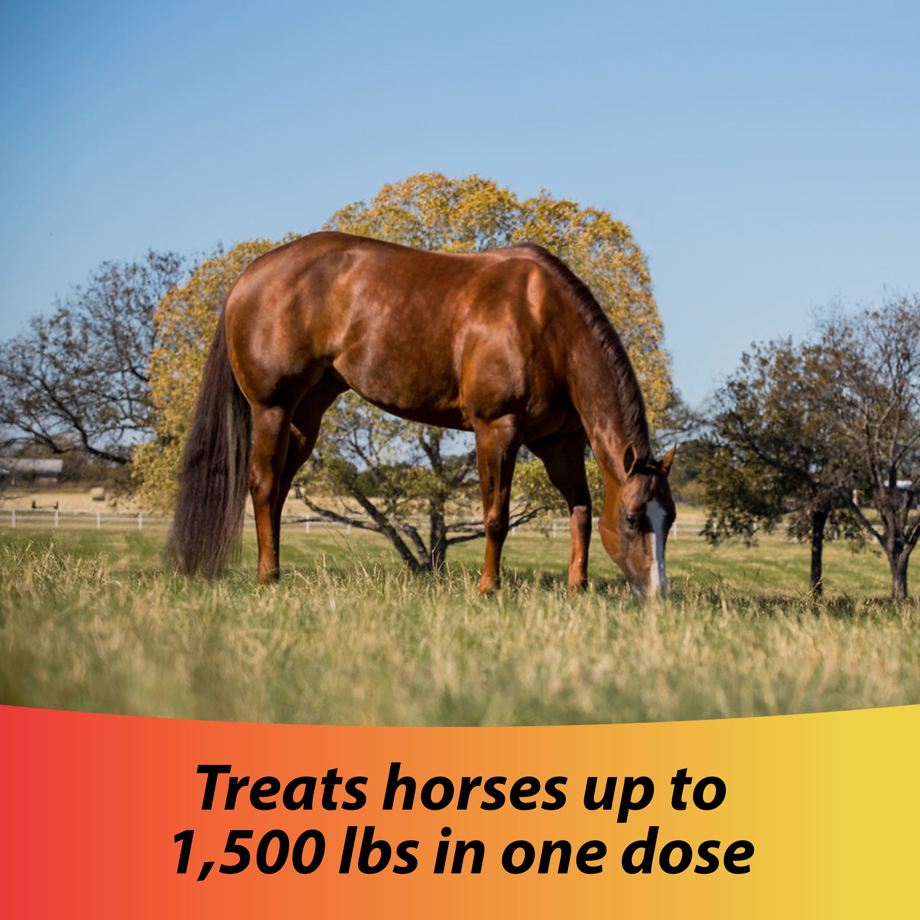 Farnam Ivermectin Paste Dewormer, Apple Flavor