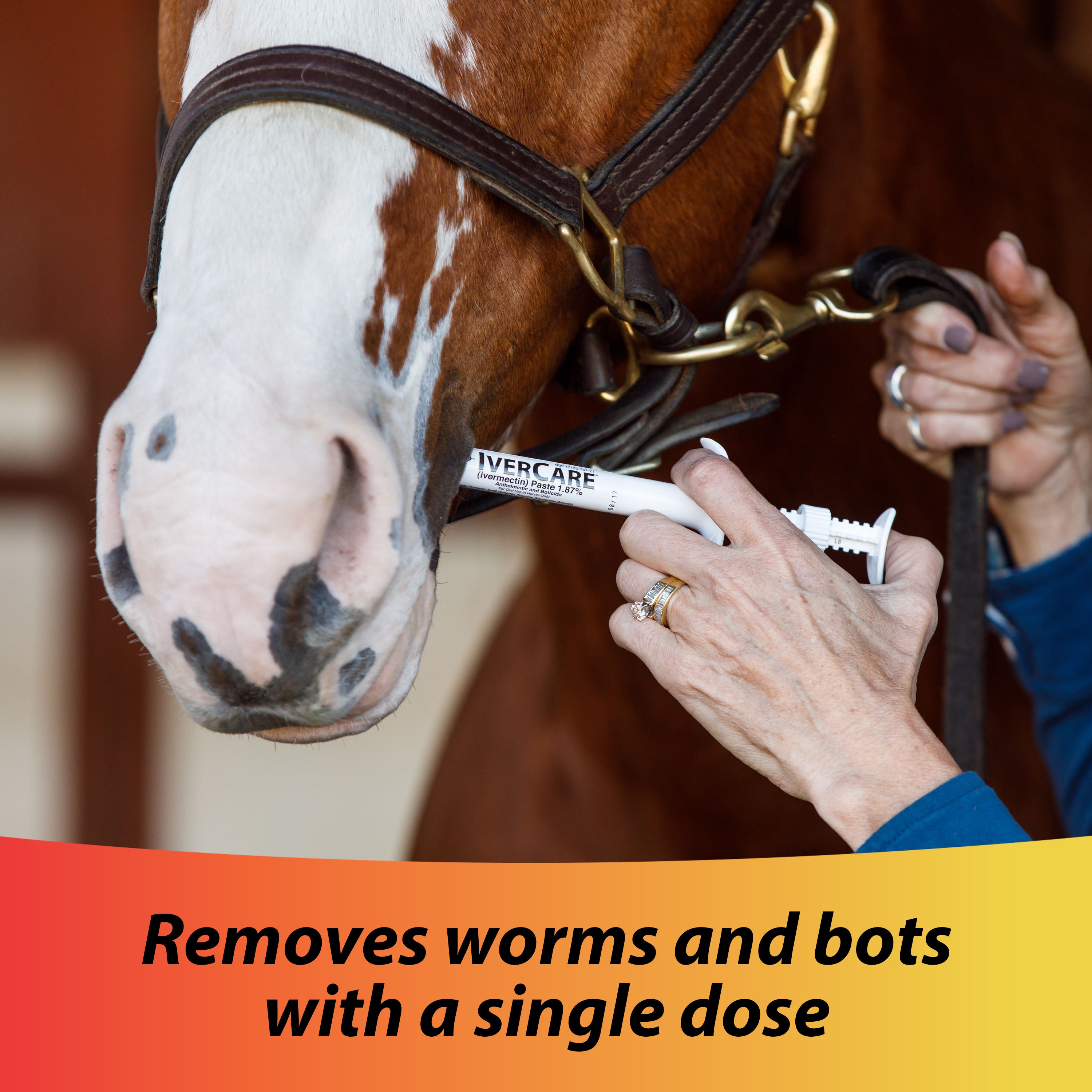 Farnam Ivermectin Paste Dewormer, Apple Flavor