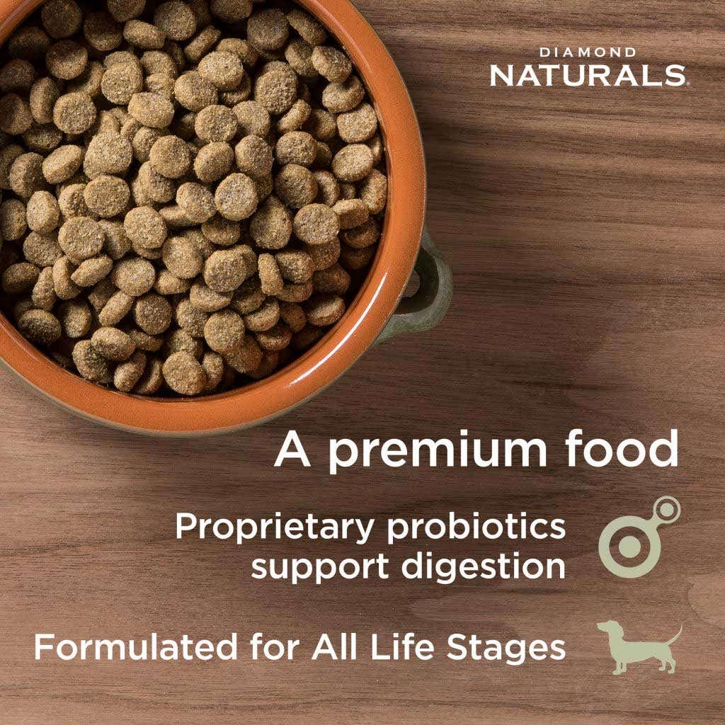 Diamond Naturals Skin & Coat All Life Stages Salmon & Potato Dry Dog Food, 30 lb