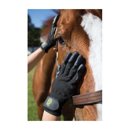 Handson Gloves, Nylon/Rubber, Black, Cat, Dog, Horse, Small Pets - 825461