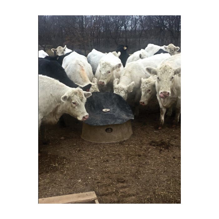 High Country Plastics BMF-250 Bull Mineral Feeder, 250 lb Volume, Plastic