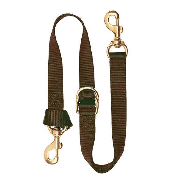 Ride The Brand Tie-Down Strap, Deluxe, Brass/Nylon, Brown