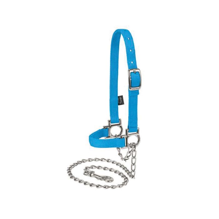 Weaver Leather Adjustable Sheep Halter with Chain Lead, 3/4 in, Nylon, Hurricane Blue