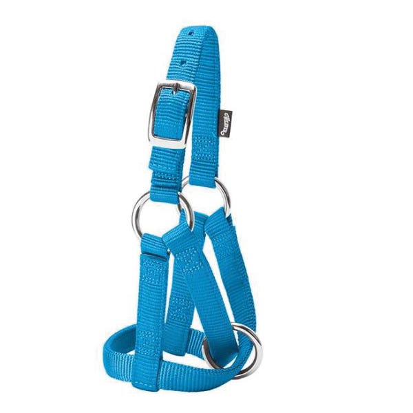 Weaver Leather Goat Halter, M, Nylon, Hurricane Blue