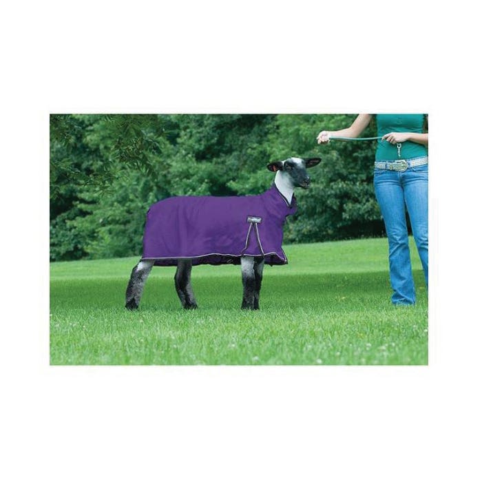 Weaver Livestock ProCool Mesh Goat Blanket with Reflective Piping, M, Purple - 826170
