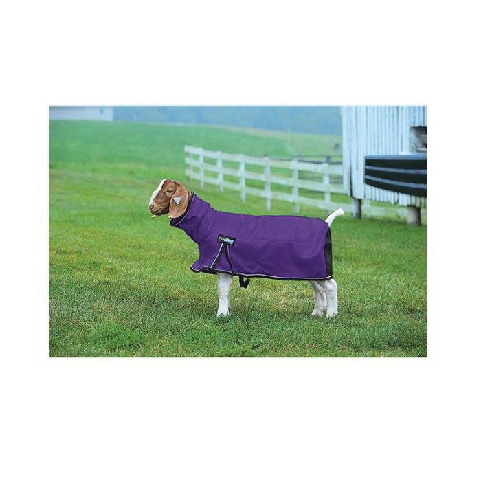 Weaver Livestock ProCool Mesh Goat Blanket with Reflective Piping, M, Purple - 788912