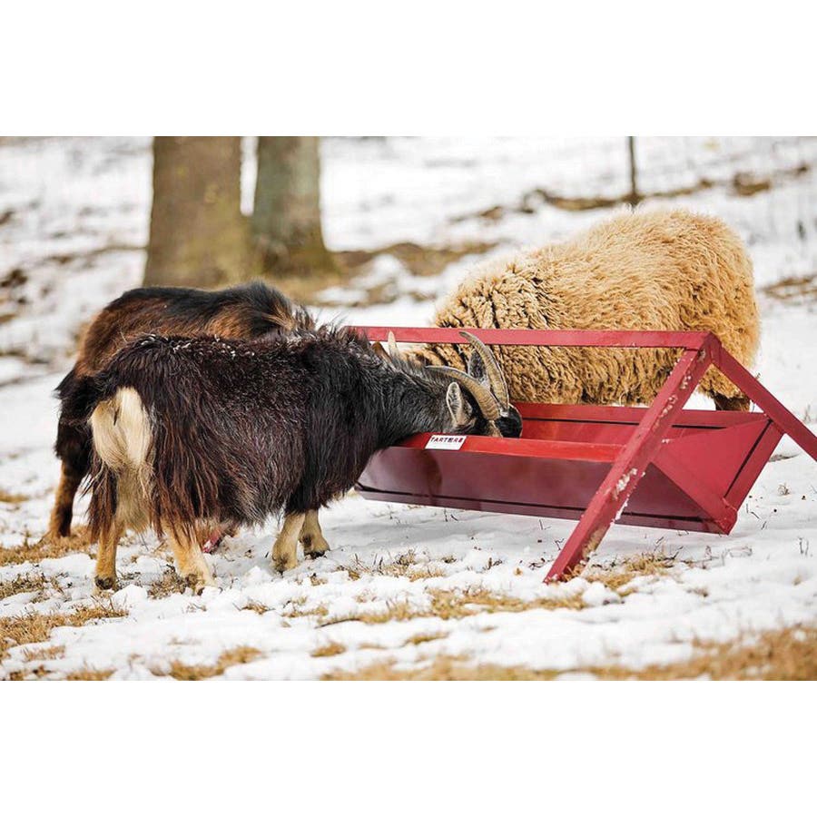 Tarter TF4 Trough Feeder Red Powder?Coated
