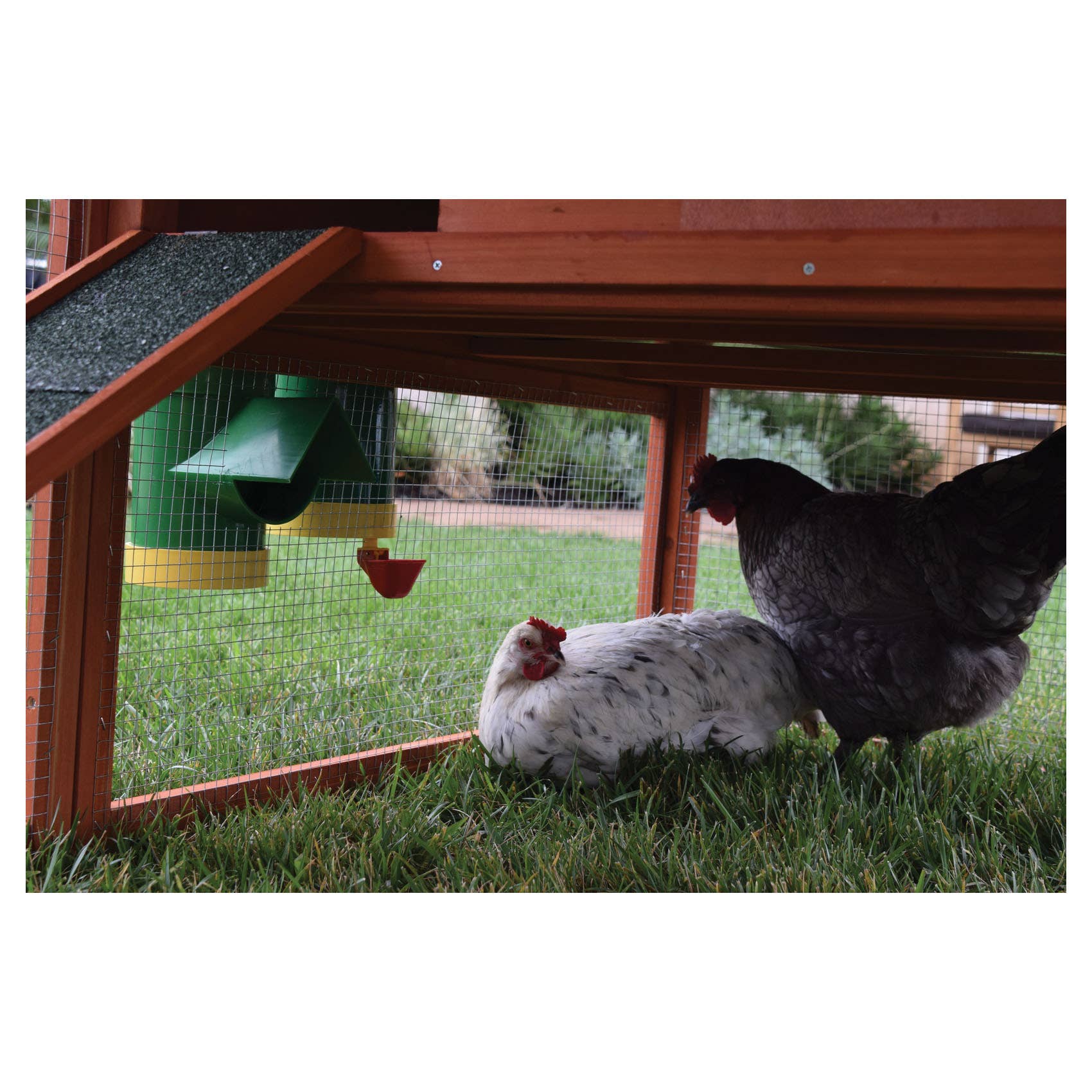 Rugged Ranch Poultry Feeder, 10 lb, Green/Yellow