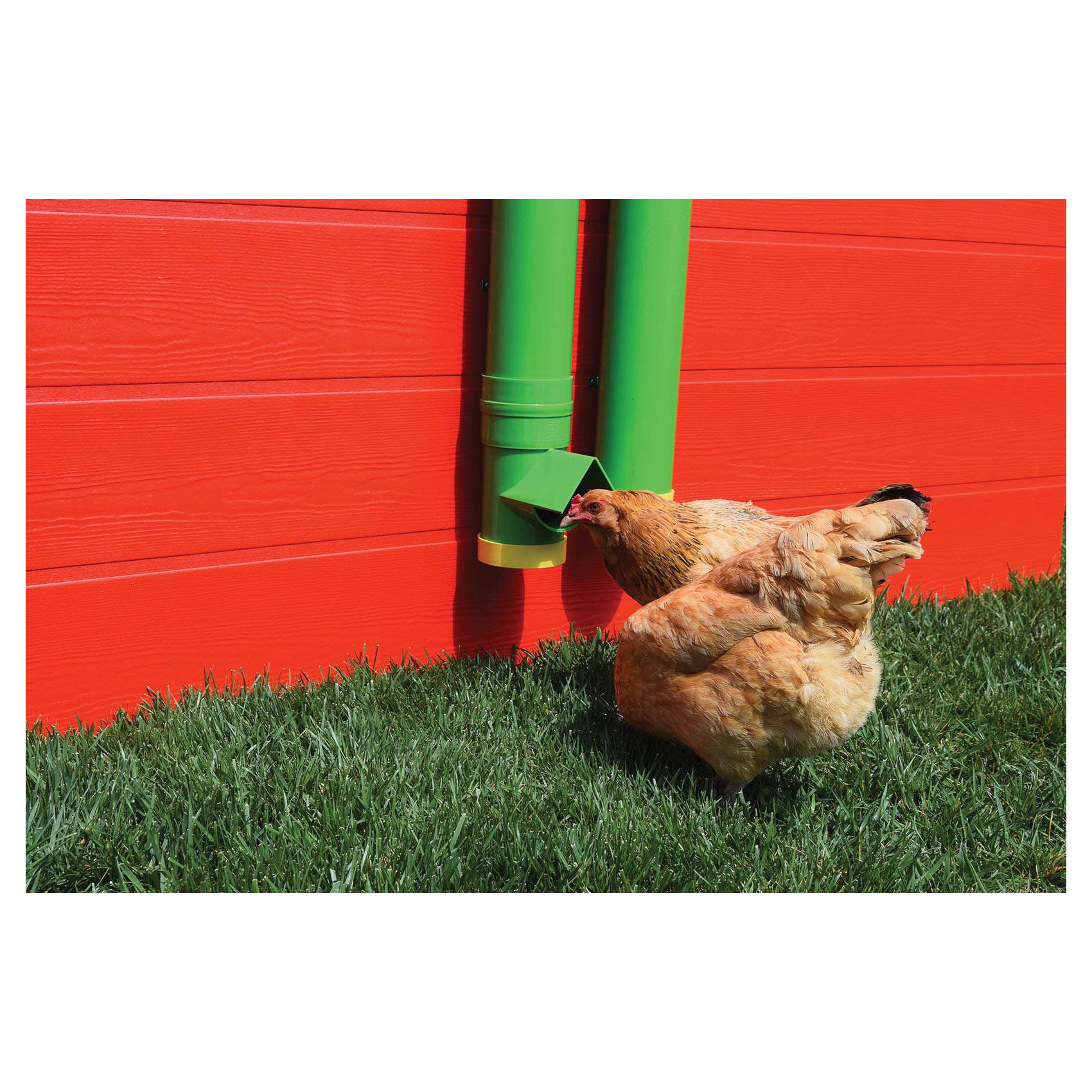 Rugged Ranch Poultry Waterer, 2 gal, Green/Yellow