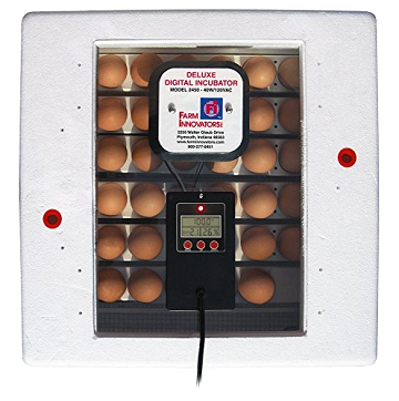 Farm Innovators 2450 Digital Circulated Air Incubator with Auto Egg Turner