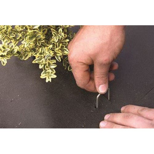 DeWitt Anchor Pin, 6 in L, 6 in W, 11 ga Thick, Steel