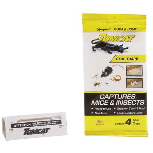 Tomcat Glue Trap
