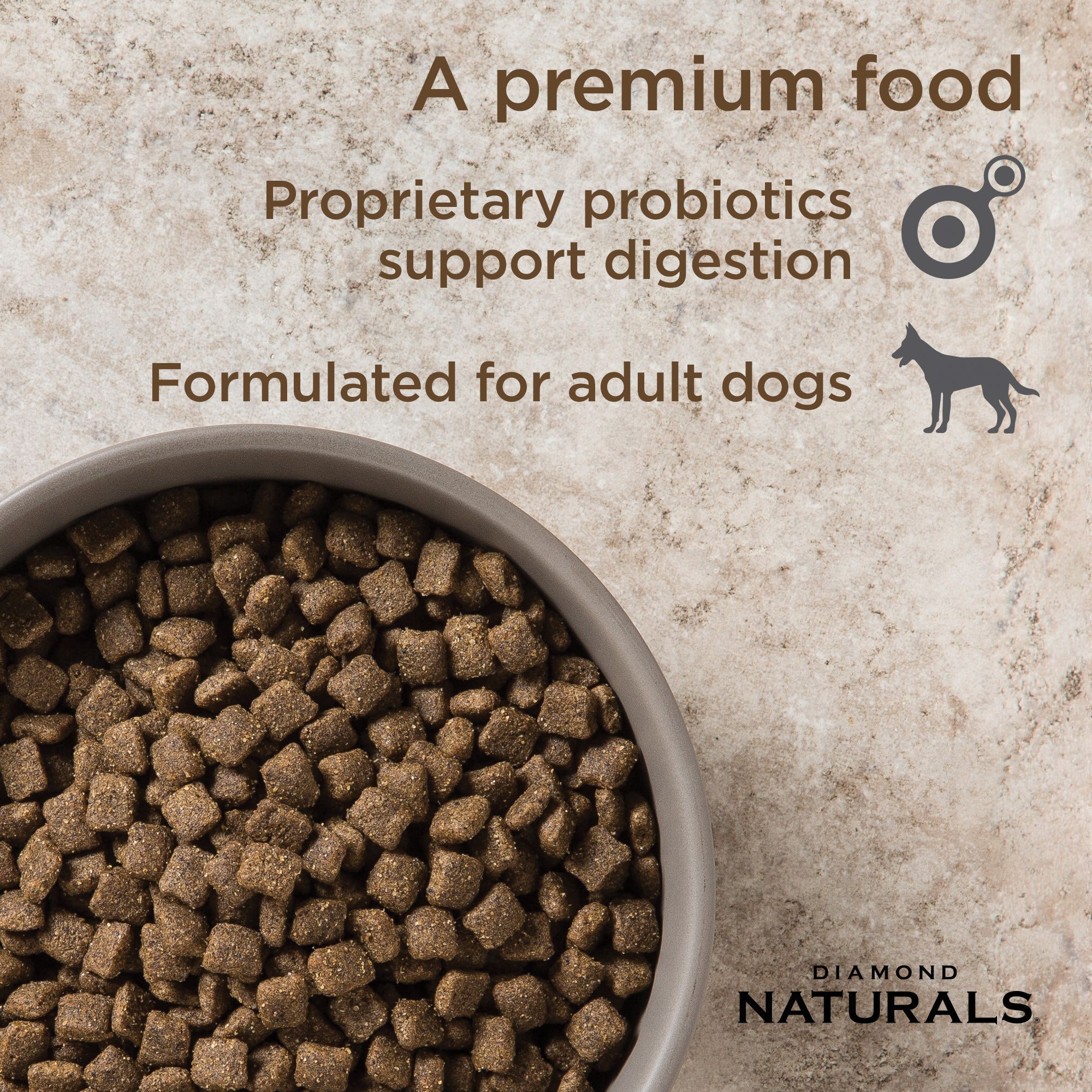 Diamond Naturals Adult Dog Lamb Meal & Rice Dry Food, 6 lb