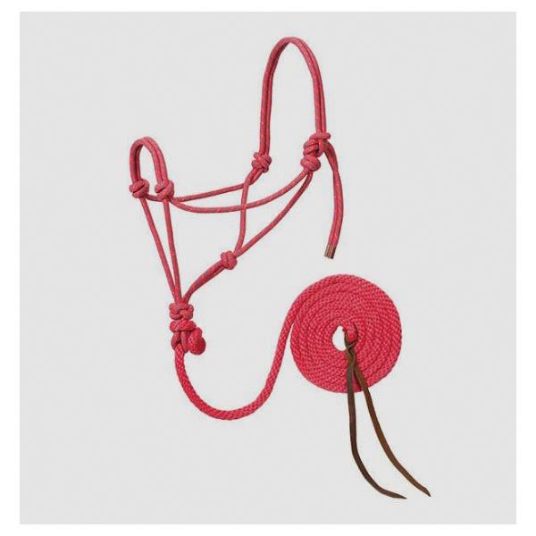 Ride The Brand Rope Halter and Lead, Poly, Gold/Pink/Turquoise