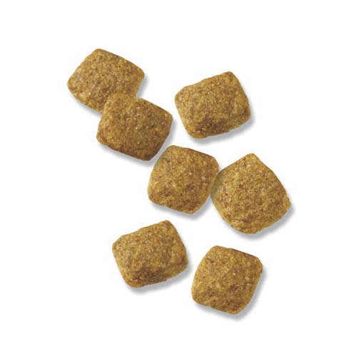 Pro Plan Focus Dog Food Chicken Flavor Dry 6 lb