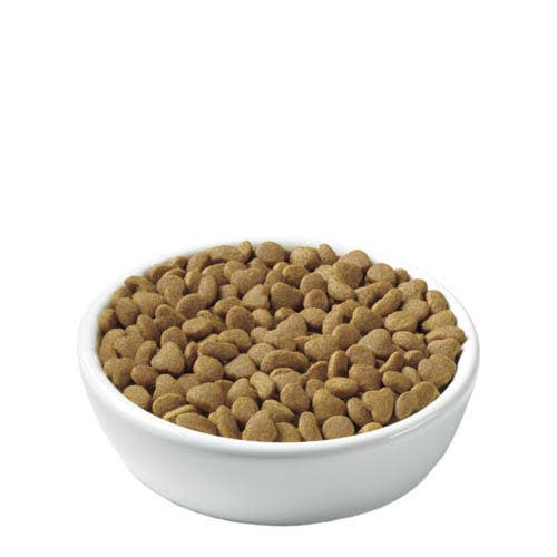 Pro Plan Savor Cat Food Chicken and Rice Dry 16 oz