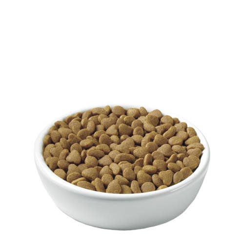 Pro Plan Focus Cat Food Chicken and Rice Dry 16 oz