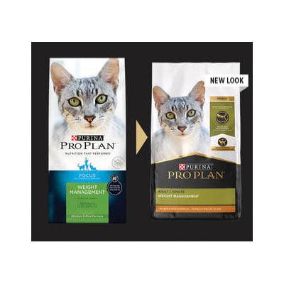 Pro Plan Focus Cat Food Chicken and Rice Dry 16 oz