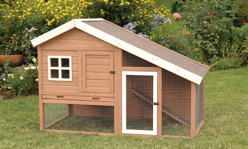 Precision Pet Products Animal Coop and Hutch