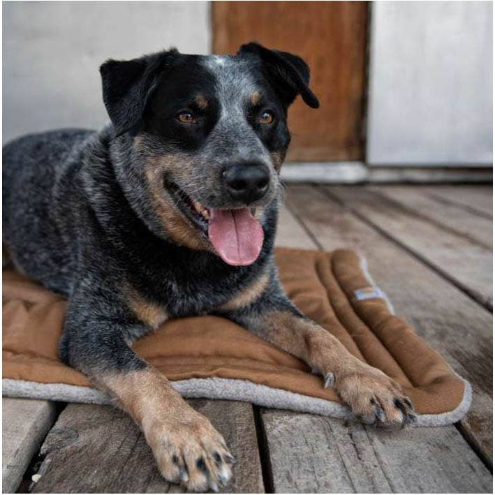 Carhartt Small Napper Pad Dog Bed, Carhartt Brown