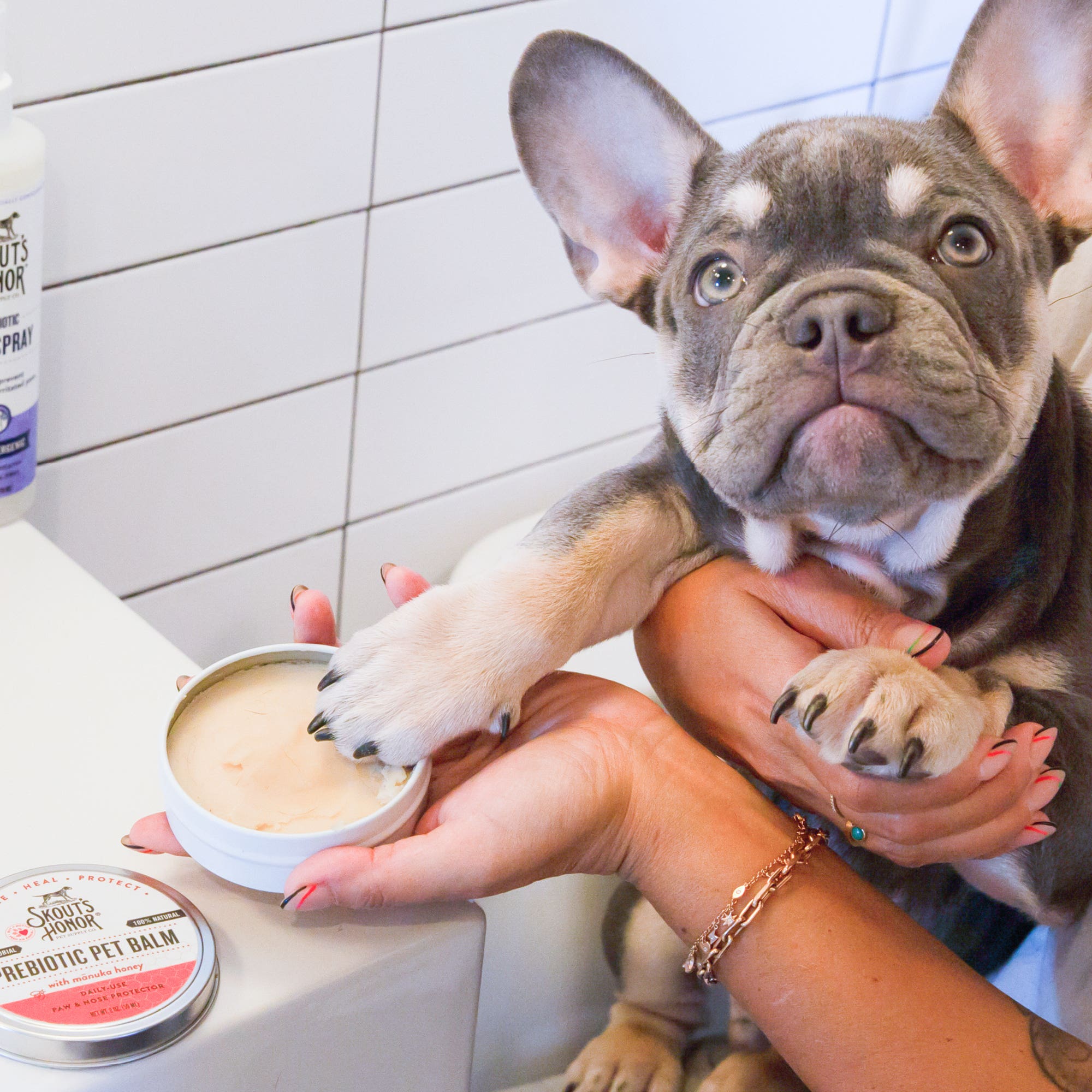 Skout's Prebiotic Paw and Nose Balm for Dogs and Cats