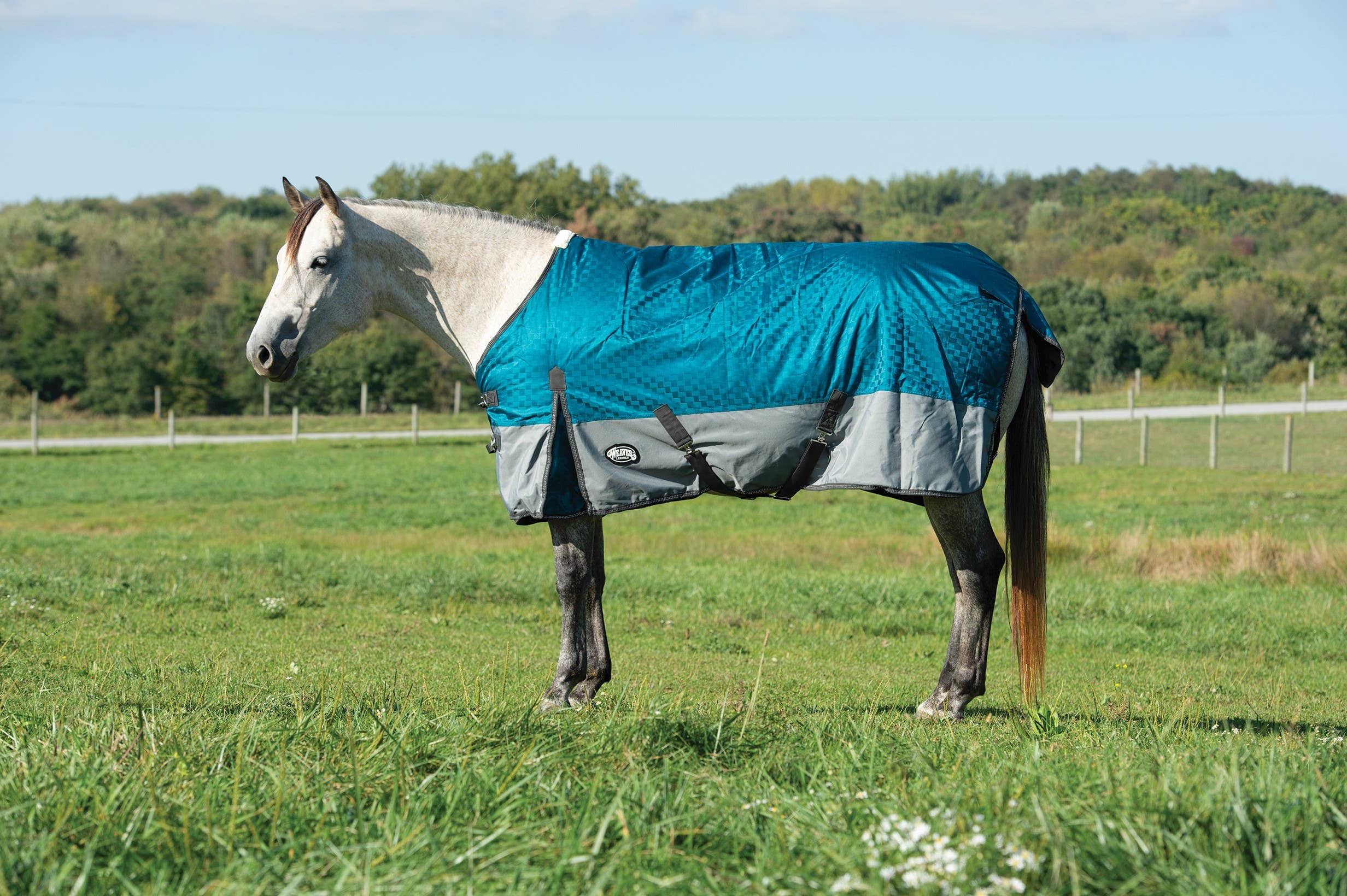 Weaver Leather Premium Turnout Blanket, 1200D, Teal, 84 in