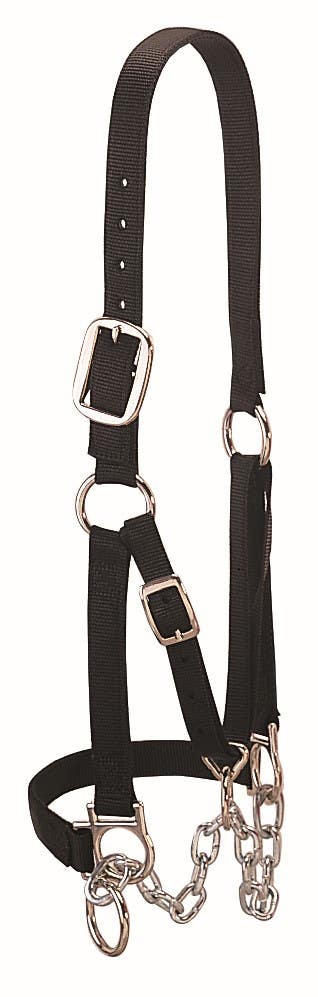 Weaver Leather Heavy-Duty Restraint Halter, Black, Small