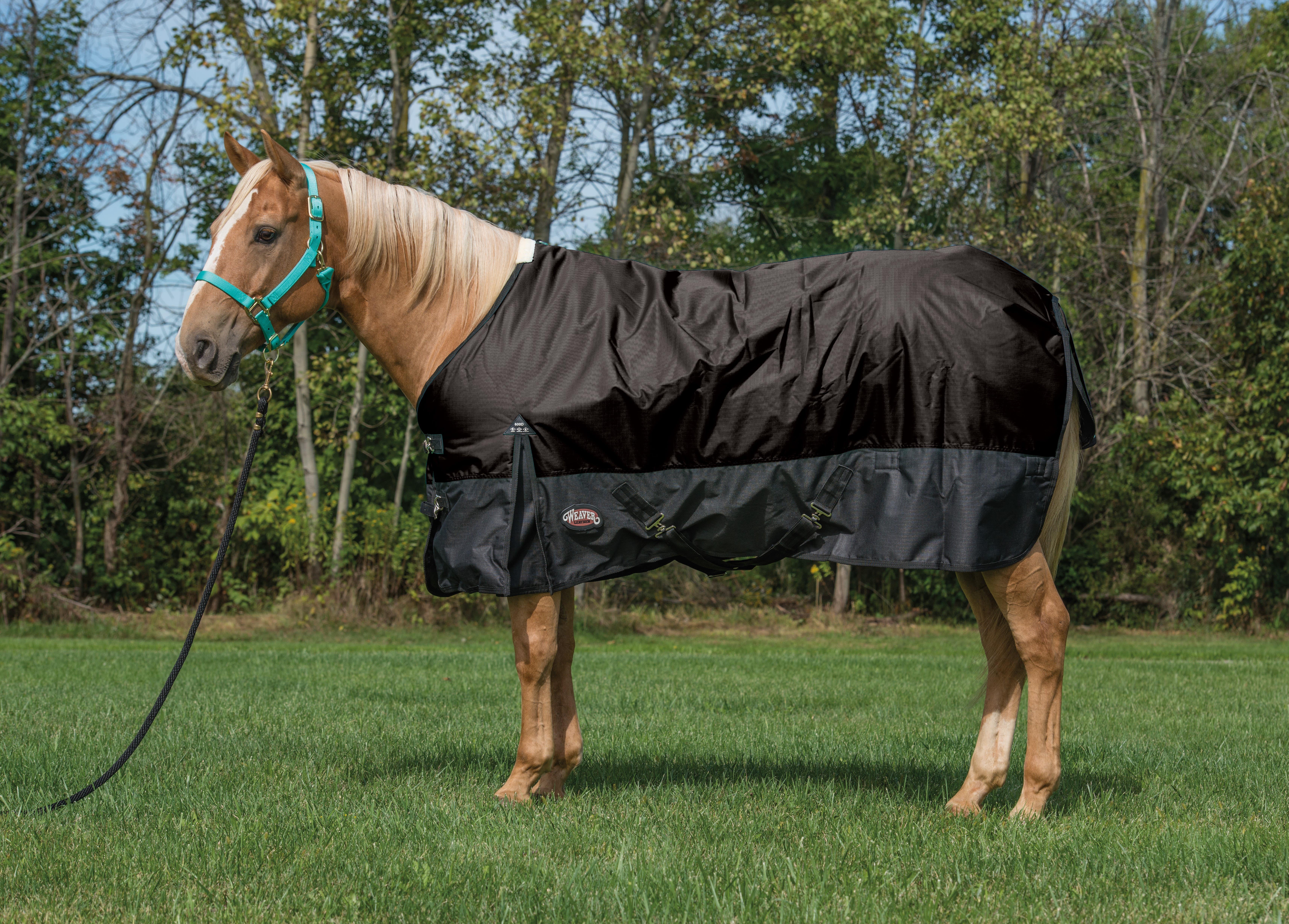 Weaver Leather Economy Turnout Blanket, 600D, 78 in