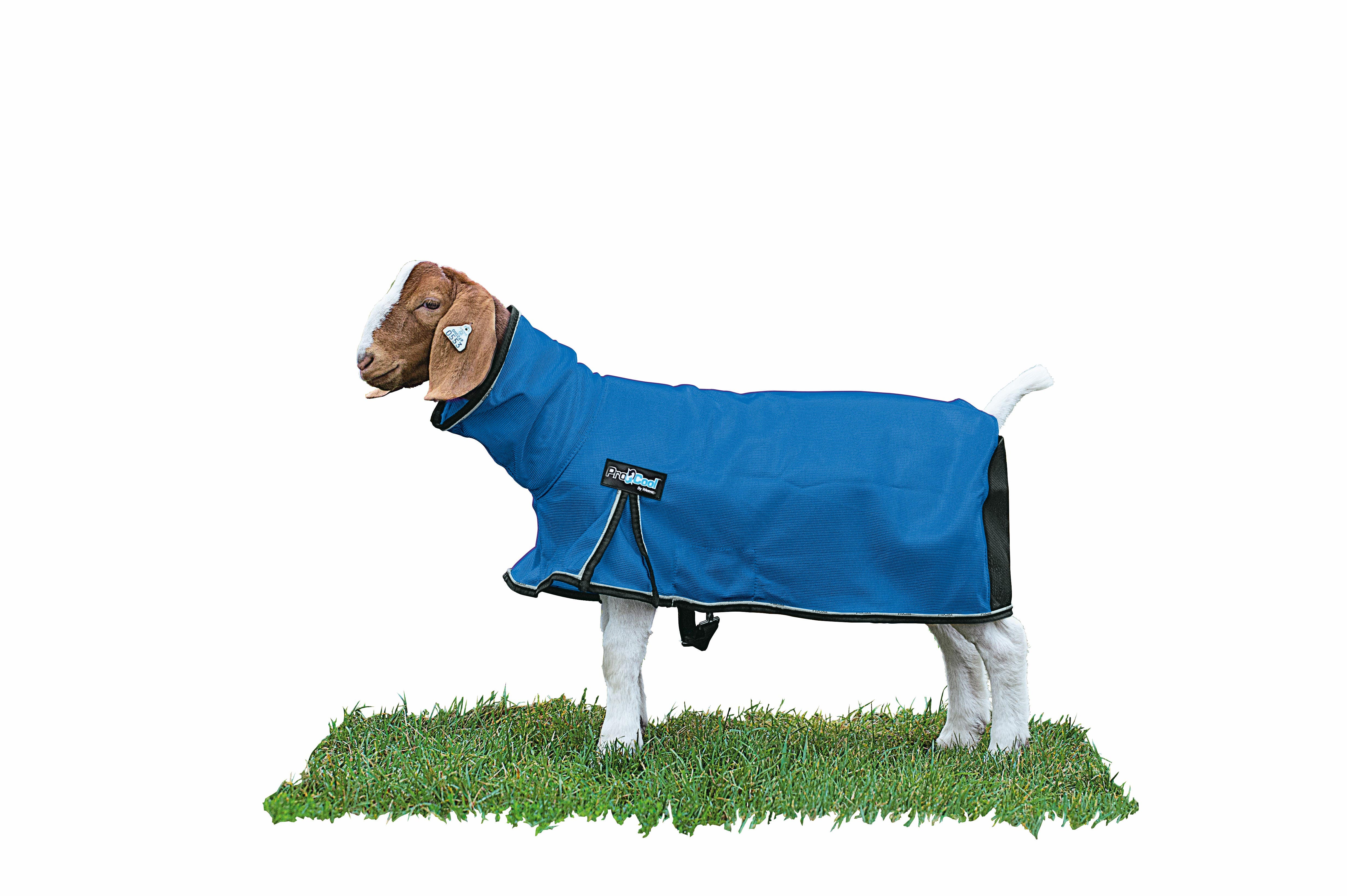 ProCool™ Goat Blanket with Reflective Piping, Medium